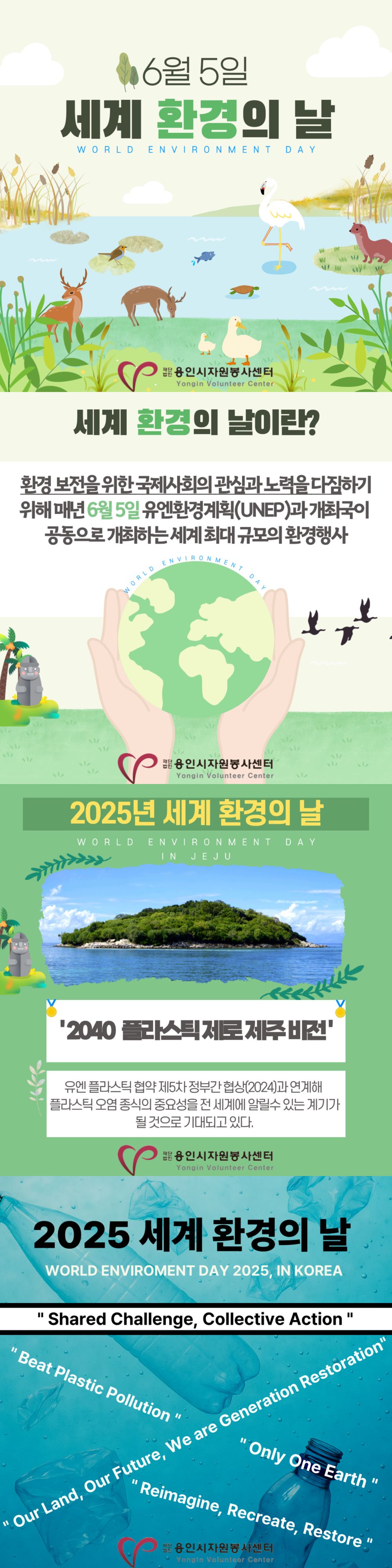 보드 첨부이미지